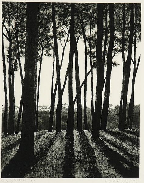 April Gornik, Edge Of The Forest, Drypoint Etching, Forest Drawing, Arte Peculiar, Woodcuts Prints, Landscape Drawings, Wood Engraving, Tree Art