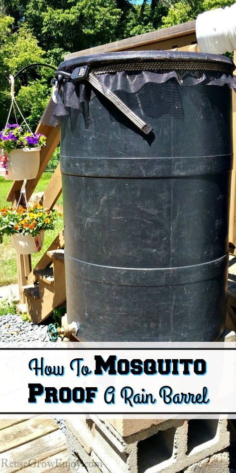 Do you have issues with mosquitoes in your rain barrel? I am going to show you how to mosquito proof a rain barrel! So much cheaper than a new one! Apocalypse Prep, Rain Barrel System, Mosquito Screen, Water Barrel, 55 Gallon Drum, Vegetable Garden Diy, Amazing Crafts, Thrifty Living, Urban Homesteading