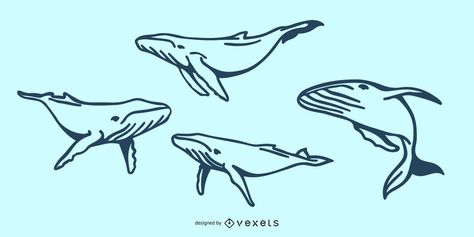 Whale Doodle Illustration #AD , #Affiliate, #Paid, #Illustration, #Doodle, #Whale Whale Doodle, Whale Sketch, Whale Drawing, Cute Easy Doodles, Easy Doodles, Illustration Doodle, Recipes Book, Feed Ig, Different Poses