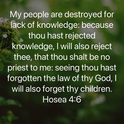 Hosea 2:14-15, Revelation 21:6 Kjv, Hebrews 4:12 Kjv, Nahum 1:7 Kjv, Hosea 4:6 Kjv, Bible Plan, Seeking God, Old Testament, King James