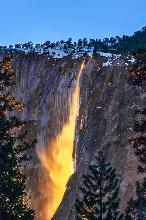 Horsetail Falls, Beautiful Places On Earth, American West, Natural Phenomena, Psychic Readings, Yosemite National, Yosemite National Park, Most Beautiful Places, Amazing Nature