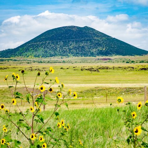 Capulin Volcano National Monument, Southern New Mexico, Valley Of Fire, National Parks Usa, Forest Fire, Ski Area, Yellowstone National, National Monuments, Mexico Travel