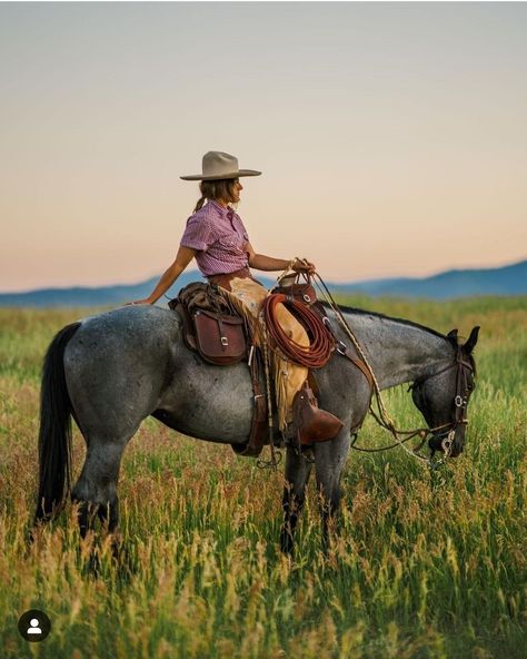 Western Asthetics, Emmie Sperandeo, Western Riding Aesthetic, Quater Horses, Horse Wrangler, Summer Mountains, Western Photography, Cowgirl And Horse, Rodeo Life