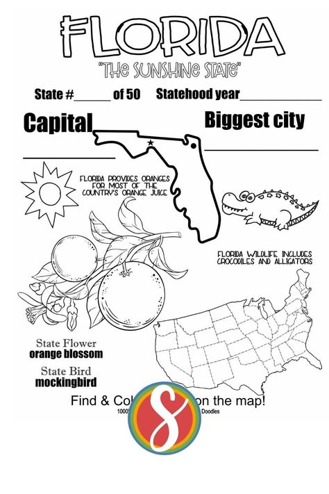 Florida Activities, Global Perspectives, Name Coloring Pages, Time For Kids, Free Printable Coloring Sheets, Doodle Pages, Map Of Florida, Printable Coloring Sheets, Facts For Kids