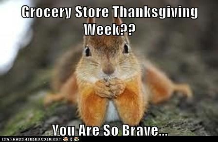 Grocery store Thanksgiving week? Squirrel Quote, Animals With Captions, Squirrel Memes, Funny Squirrel Pictures, Squirrel Pictures, Funny Animals With Captions, Squirrel Funny, Cute Squirrel, A Squirrel