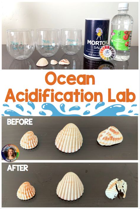 Marine Science Projects, Freshwater Vs Saltwater Activities, Marine Science Activities, Marine Biology Activities High School, Aquatic Science High School, Marine Biology Activities, Ocean Experiments, Ocean Presentation, Ocean Science Experiments