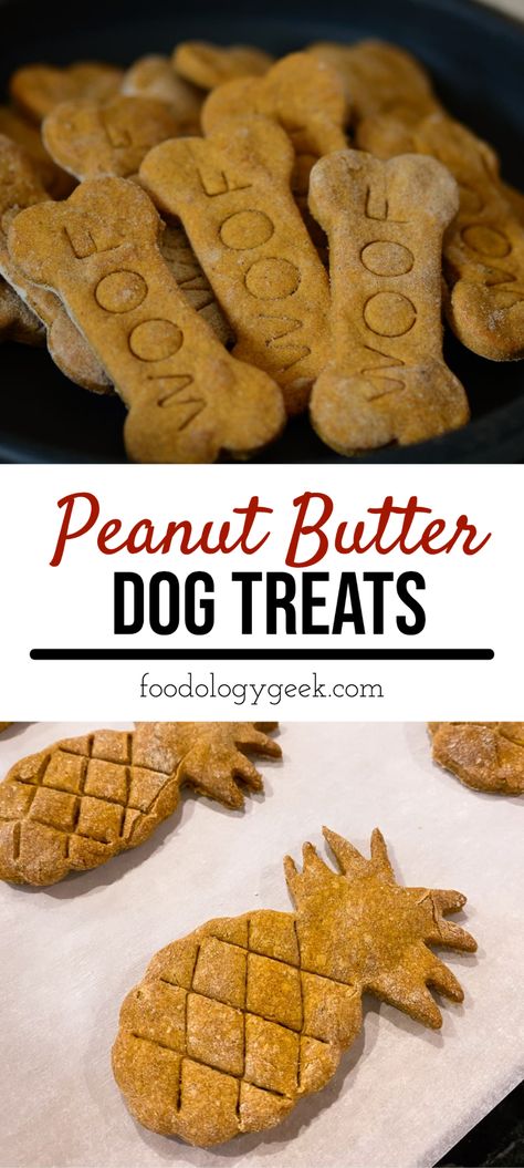 Homemade Peanut Butter Dog Treats, Peanut Butter Dog Biscuits, Bacon Dog Treats, Doggie Birthday, Dog Cookie Recipes, Dogs Treats, Pet Crafts, Eating Bird Food, Dog Treats Homemade Easy