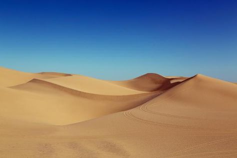 If you think of small piles of sand on the beach when you hear "dunes," you’re missing out. These massive sand mountains around the U.S. are worth taking a few vacation days. Desert Ecosystem, Photo Png, Sahara Desert, Travel Channel, Nelson Mandela, Abraham Hicks, Desert Landscaping, Photo Images, Sand Dunes