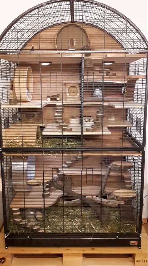 Chipmunk Cage Ideas, Rat House Ideas, Pet Rat Enclosures, Hamster Home Diy, Pet Squirrel Cage Ideas, Diy Rat Enrichment, Rat Free Roam, Chinchilla Cage Ideas Diy, Mouse Cage Ideas