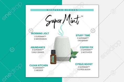 Diffuser Blends With Malama, Super Mint Diffuser Blends, Super Mint Doterra, Mint Diffuser Blends, Doterra Supermint Diffuser Blend, Invigorating Essential Oil Blends, Motivate Diffuser Blend Doterra, Doterra Spearmint, Mint Essential Oil