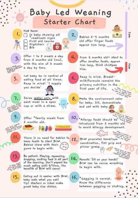 Blw Guide, Baby Food Stages, Baby Food Timeline, Baby Led Weaning Ideas, Cover Fridge, Baby Weaning Foods, Baby Milestone Chart, Easy Homemade Baby Food, Baby Led Weaning First Foods