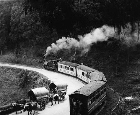 A steam driven passenger train negotiates a bend on a narrow track which descends towards Darjeeling India Railway, Fox Photos, Train Route, Indian Railways, Vintage India, Darjeeling, Train Journey, Work With Animals, Steam Trains