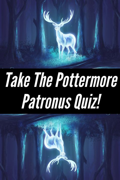 Against an army of Dementors, you find yourself one of the rare few who can use this charm. Before you prime your wand and utter the magical incantation, you take a moment to wonder what kind of creature your Patronus would look like. Since wizards need to concentrate on their happiest memory to conjure one, how would it be related to it? Inspired by the original Pottermore Patronus quiz, we’ve prepared our own special take to help you find your true Patronus. My Patronus Is A Stitch, Fox Patronus Art, What Is Your Patronus Quiz, My Patronus Is, Harry Potter Patronus Quiz, Harry Potter Wand Quiz, Pottermore Sorting Quiz, Patronus Quiz, Patronus Harry Potter