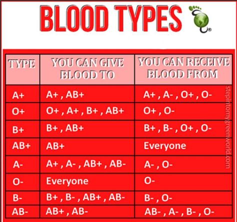 nursing blurbs : Photo Blood Type Chart, Blood Types, Type Chart, Nursing School Survival, Nursing School Studying, Medical Facts, Nursing School Tips, Medical School Studying, Nursing School Notes