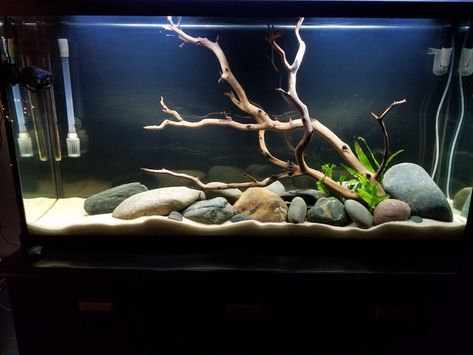 60 gallon aquascape 29 Gallon Aquascape, Bettafish Aquarium, Aquarium Tips, Coral Aquarium, Cichlid Aquarium, Fish Aquarium Decorations, Aquarium Set, Goldfish Tank, Fish Tank Design