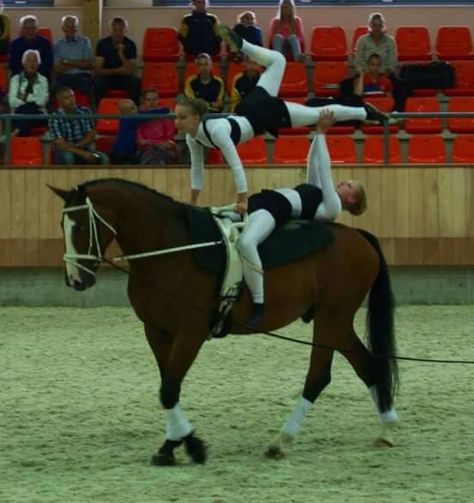 Horse Vaulting Double Moves, Vaulting Horses, Equestrian Vaulting, Vaulting Equestrian, Horse Yoga, Horse Vaulting, Trick Riding, Horse Videos, Horse Tips