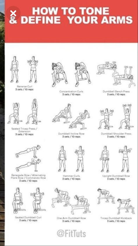 Weight Machine Arm Workout For Women, Bench Workouts For Women, Gym Machine Arm Workout Women, Dumbell Arm Workout Women, Dumbell Arm Workout Bench, Beginner Arm Workout Gym Machine, Dumbell Workout For Arms, Wedding Arms Workout, She's Got Arms Workout