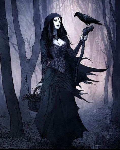 The Raven Witch - @natjonesart Raven Witch, Witch Pictures, Witch Coven, Dark Witch, Gothic Fantasy Art, Gothic Aesthetic, Goth Art, Goddess Art, The Raven