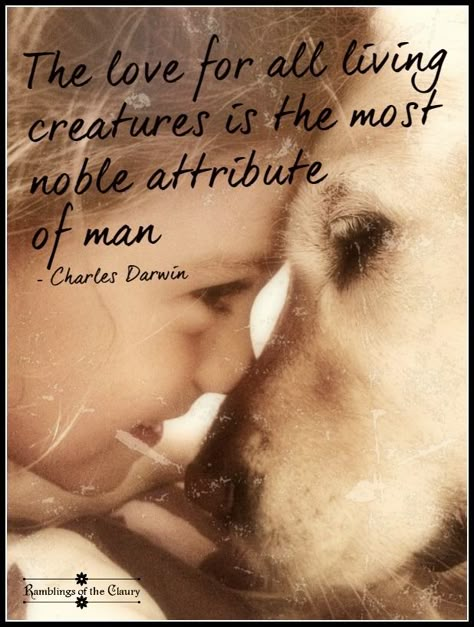 The love for all living creatures is the most noble attribute of man #Darwin #animals #love #compassion #respect #attribute #man #humanity #dog Animal Love Quotes, Animal Quotes, Dog Quotes, Animals Friends, I Love Dogs, Beautiful Creatures, Great Quotes, Animals Beautiful, Dog Love