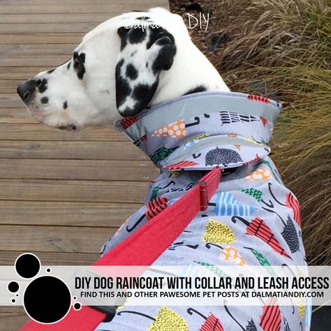 Diy Dog Raincoat, Raincoat Diy, Pet Accessories Diy, Rain Shelter, Sun Dogs, Diy Shades, Dog Raincoat, Diy Dog, Diy Sewing Clothes