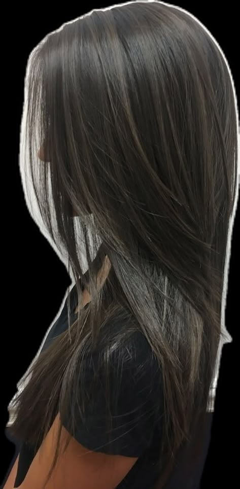 Long Dark Hair Layers Straight, Thinned Out Hair, Brown Highlights On Black Hair Straight, Black Hair Brown Highlights Straight, Long Hairstyles With Layers Straight Dark Brown Black Hair, Dark Brown Hair Layers, Long Black Layered Hair Straight, Brown Hair Layers, Hair Highlights For Black Hair