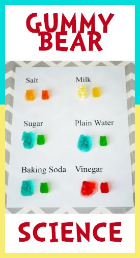 Gummy Bear Science | stem for kids Gummy Bear Science Project, Kids Science Fair Projects, Science Project For Kids, Cool Science Fair Projects, Science Stem, Preschool Science Activities, Science Experiments For Preschoolers, Science Tools, Kid Experiments