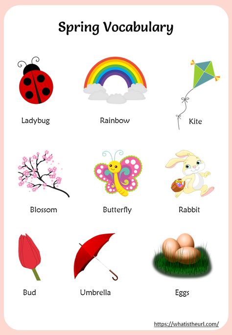 Spring Season Vocabulary Charts Spring Vocabulary Preschool, Spring Season Activities For Preschool, Spring Kindergarten Decoration, Weather Kindergarten Activities, Spring Worksheets For Kids, Kindergarten Seasons, Spring Season Activities, Weather Kindergarten, Spring Worksheets