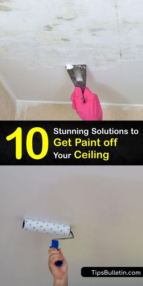 Removing dried paint or peeling paint from smooth or popcorn ceilings doesn’t have to be a challenge. Eliminate paint drips and old ceiling paint to prepare for clean paint using a chemical paint stripper or a dish soap paint remover. #get #paint #off #ceiling Old Ceiling, Paint Scraper, Removing Popcorn Ceiling, Diy Household Cleaners, Ceiling Paint, Types Of Ceilings, Ceiling Texture, Home Cleaning Hacks, Clean Your House