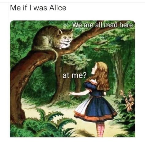 We Are All Mad Here, 4 Panel Life, Were All Mad Here, Cheer Me Up, August 20, Cute Memes, Just Girly Things, Bones Funny, Reaction Pictures