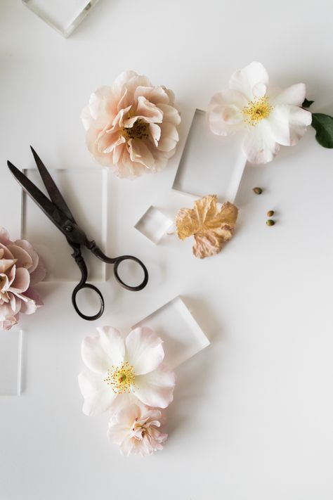 Flat Lay Styling, Hair Salon Pictures, Hairstylist Branding, Salon Pictures, Styled Stock Photography, Elegant Centerpieces, Flatlay Styling, Creative Business Owner, Branding Your Business