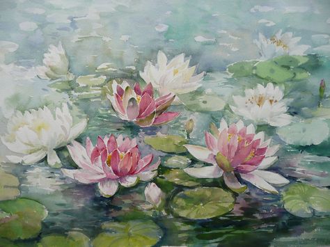 Kolam Air, Water Lilies Painting, Lily Painting, Lotus Art, Art Watercolor Painting, Abstract Flower Painting, Watercolor Flowers Paintings, The Pond, Flower Art Painting