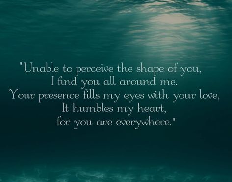 Shape Of Water Poem, Single Life Humor, Business Learning, Shape Of Water, Water Is Life, Water Quotes, Beauty Skin Quotes, Girl Truths, Indian Philosophy