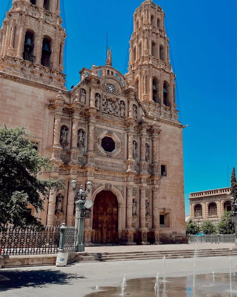 Beautiful Cathedral at downtown Chihuahua, Mexico Chihuahua Mexico, Chihuahua, Halloween, Mexico