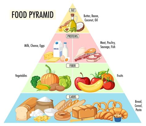 Free vector food nutrition groups pyrami... | Free Vector #Freepik #freevector #carbs #food-groups #fat-cartoon #food-clipart Food Group Pyramid, Food Groups For Kids, Food Pyramid Kids, Carbs Food, Pasta Food Recipes, Nutrition Pyramid, Fat Cartoon, Carbs In Fruit, Kids Food Crafts