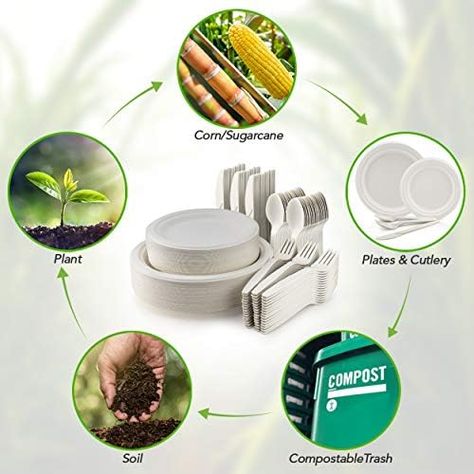 Bulk 250 Piece Biodegradable Paper Plates Set (EXTRA LONG UTENSILS), Disposable Dinnerware Set, Eco Friendly Compostable Plates & Utensil include Plates, Forks, Knives and Spoons for Party Manufacturer Check more at https://www.packagingeye.com/product/bulk-250-piece-biodegradable-paper-plates-set-extra-long-utensils-disposable-dinnerware-set-eco-friendly-compostable-plates-utensil-include-plates-forks-knives-and-spoons-for-party-manufacture Compostable Plates, Compost Soil, Wood Plates, Food F, Disposable Plates, Dessert Appetizers, Appetizer Plates, Plates Set, Daily Meals