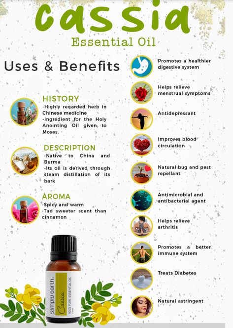 Cassia Essential Oil Benefits, Cassia Essential Oil Uses, Cassia Oil Benefits, Cassia Essential Oil Blends, Sandalwood Oil Benefits, Sandlewood Essential Oil, Cassia Essential Oil, Magickal Herbs, Natural Alternatives