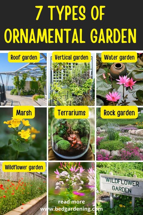 7 Types Of Ornamental Garden. Ornamental plants are so common these days that it is very likely that you either have one in your home or someone close to you has one as well! Whimsical Garden Decor, Ornamental Garden, Planting Ideas, Garden Decor Ideas, New Garden, Starting A Garden, Wildflower Garden, Garden Oasis, Ornamental Plants