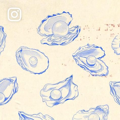 4,062 likes, 18 comments - samosstudio on May 16, 2024: "🦪 new oyster tattoo flash for my lovelies 🦪". Oyster Pearl Drawing, Oyster Tattoo Pearl, Oyster Sketch, Shell With Pearl Tattoo, Oyster Pearl Tattoo, Oyster Shell Tattoo, Clam Tattoo, Oyster Illustration, Oyster Tattoo