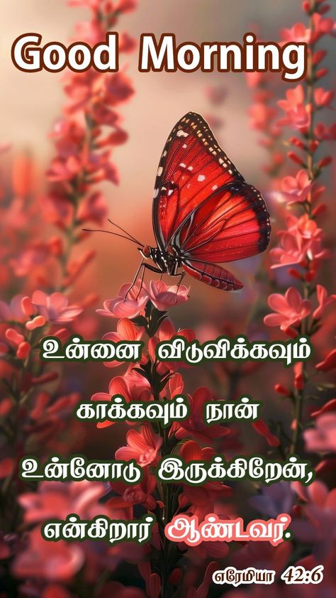 Bible Verse Tamil, Good Morning Bible Verse, Christian Good Morning Quotes, Bible Words In Tamil, Tamil Bible Words, Tamil Bible, Bible Words, Good Morning Images, Morning Images