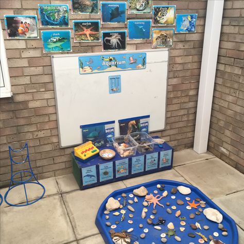 EYFS outside area - aquarium / rock pool Aquarium Role Play Eyfs, Role Play Eyfs, Play Area Outside, Preschool Ocean, Aquarium Craft, May Themes, Reception Classroom, Dramatic Play Themes, Aquarium Set