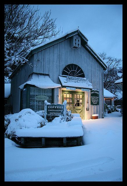 let it snow and drink a cuppa Winter Favorites, Winter Whites, I Love Snow, Snow Pictures, Best Espresso, I Love Winter, Winter Magic, Winter Beauty, Snow Scenes