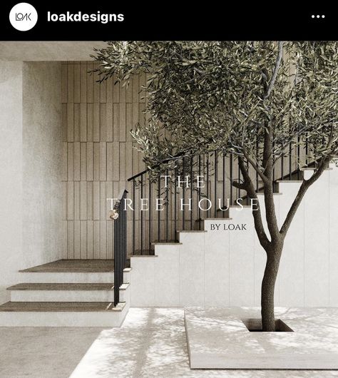 Olive Tree Indoor Decor, Tree In Foyer, Large Indoor Trees, Outhouse Interior, تحت الدرج, House Of M, Contemporary Staircase, Hotel Inspiration, Classy Bedroom