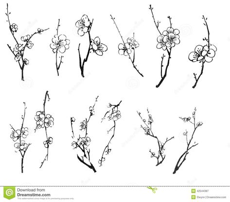 Plum Blossom Branches Stock Illustration - Image: 42544387 Plum Blossom Tattoo Black And White, Chinese Plum Blossom Tattoo, Plum Flower Tattoo, Plum Blossom Drawing, Plum Tattoo, Cherry Blossom Branch Tattoo, Plum Blossom Tattoo, Chinese Plum Blossom, Plum Blossom Painting