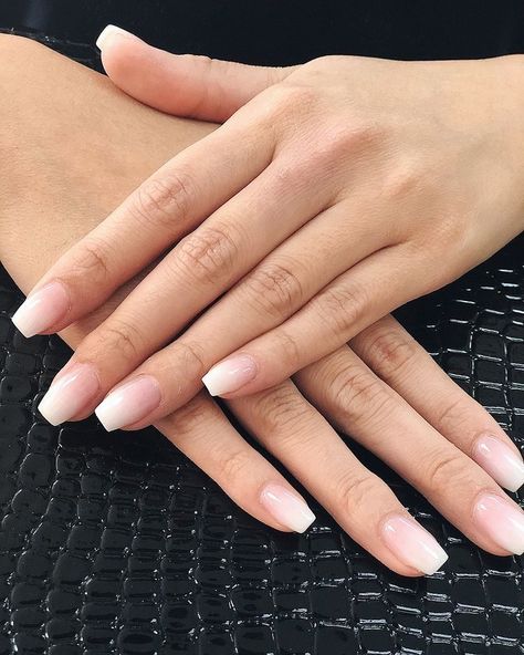 French Fade Nails, Pink White Nails, Faded Nails, Pink Ombre Nails, Nagel Tips, Never Fully Dressed, Gel Top Coat, Bride Nails, Nagel Inspo