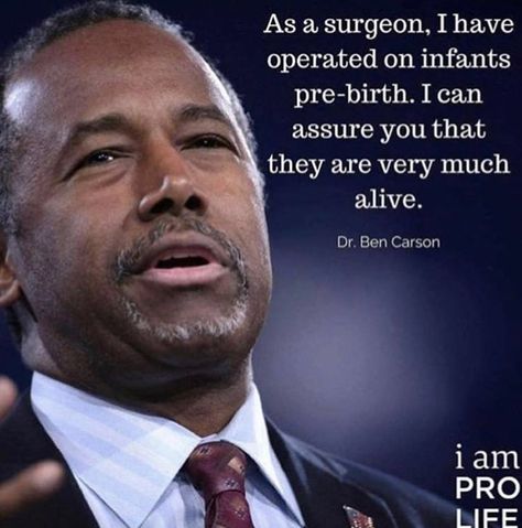 Twin Conservatives on Instagram: “❤️ 💙 ❤️ 💙 ❤️ 💙 ❤️ 💙 ❤️ • • • Follow our partners: @the.real.republican @teenage_republican_girl @rightwingcob @secretary.of.memes…” Life Memes Truths, Ben Carson Quotes, Funny Life Memes, Respect Life, Funny Memes About Life, Ben Carson, Life Is Precious, Funny Life, Life Memes