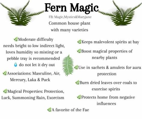 Fern Spiritual Meaning, Plants For Home Protection Witchcraft, Motherwort Witchcraft, Fern Magical Properties, Magical Correspondences Herbs, Common House Plants, Witchy Garden, Witchcraft Spells For Beginners, Witch Herbs