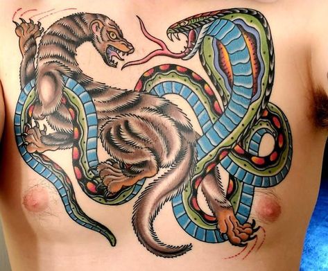 Mongoose Tattoo, Cobra Tattoo, American Traditional Tattoo, American Traditional, Traditional Tattoo, Tatting, Old School, Tattoos, Color