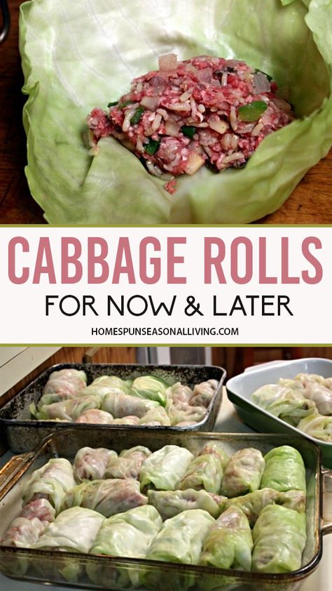 Cabbage Pigs In A Blanket Recipe, Pigs In The Blanket Cabbage, Piggies In A Blanket Cabbage, Pigs In A Blanket Recipe Cabbage, Quick Winter Dinner, Stuff Cabbage, Leftover Cabbage, Fermented Recipes, Recipe Cabbage