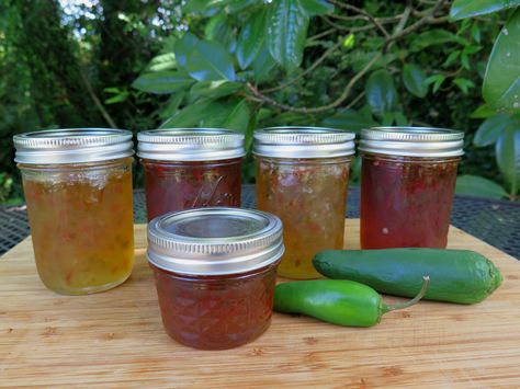 Banana Pepper Jelly and Hot Jalapeno Pepper Jelly - IMG_0403_1 Hot Banana Pepper Jelly Recipe, Hot Banana Pepper Jelly, Banana Pepper Jelly Recipe, Banana Pepper Jelly, Canning Pepper Jelly, Elderberry Jelly Recipe, Pepper Jellies, Banana Jelly, Canning Banana Peppers