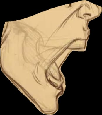 Open Mouth From The Side Drawing, Side Profile Reference Open Mouth, Showing Teeth Pose Drawing, Side Profile Open Mouth Drawing, Yelling Side Profiles, How To Draw Mouth Expressions, Side Profile Drawing Mouth Open, Smirk Mouth Drawing, Side Profile Yelling Drawing Reference